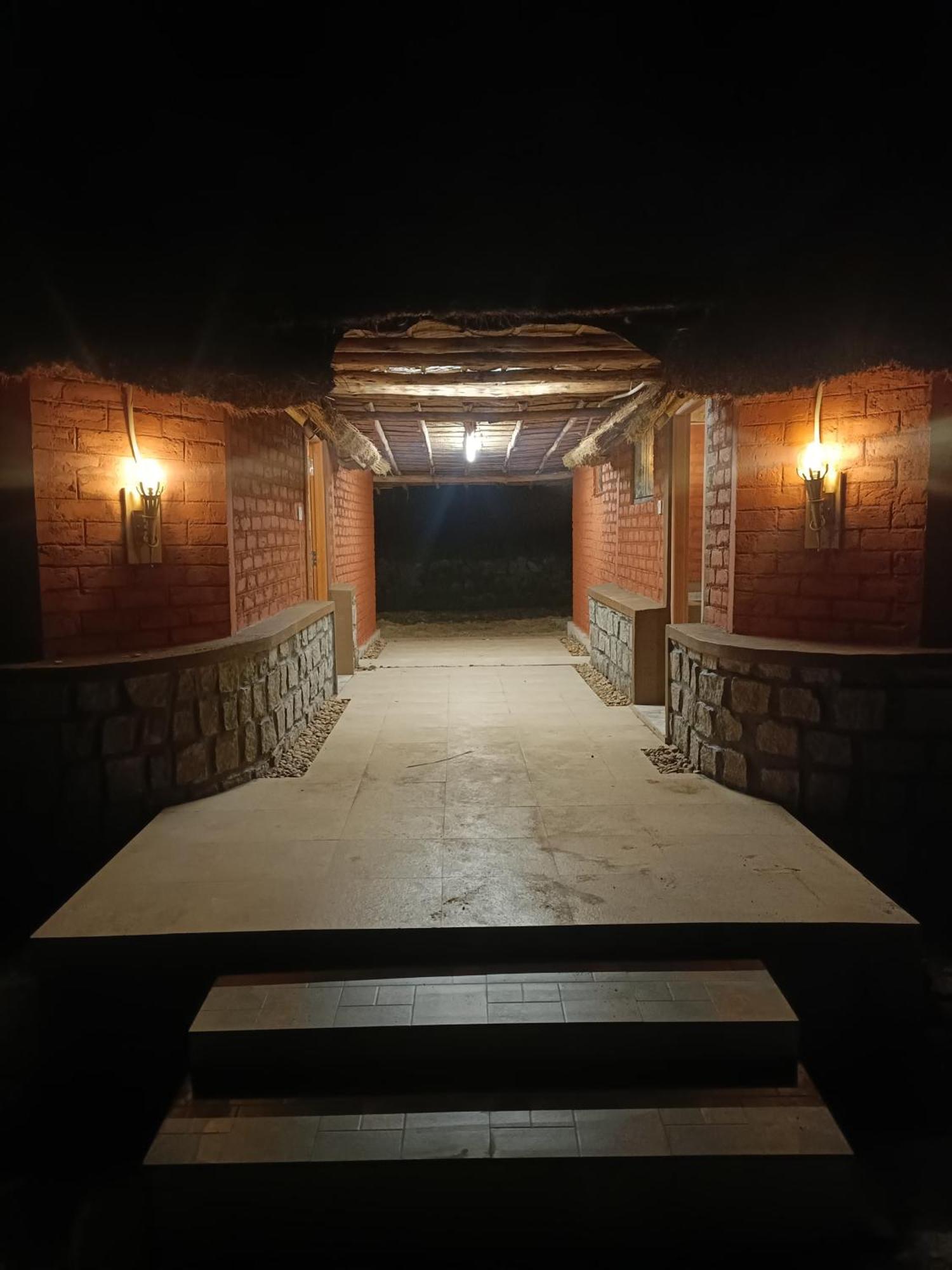 Golden Chariot Resort Хампи Экстерьер фото